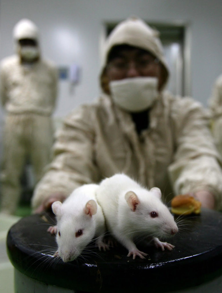 Dos ratones en un laboratorio