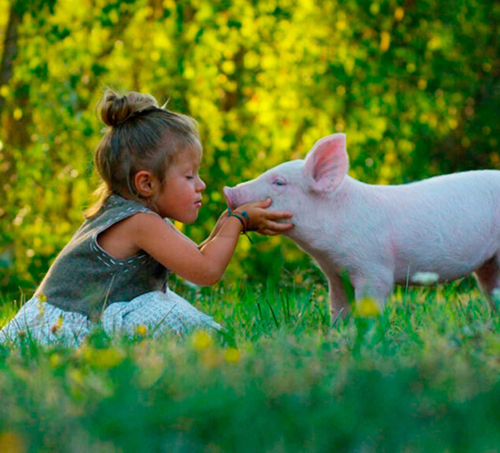 Una niña cogiéndole la cara a un cerdo con ternura